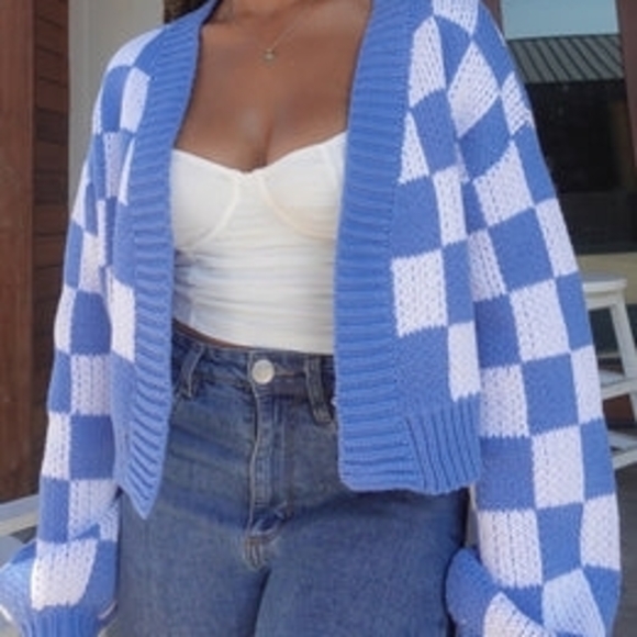 Blue Blush Sweaters - Blue Blush Blue and White Checkered Cardigan Women Size L